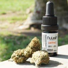 Des gummies à base de CBD très faciles à consommer